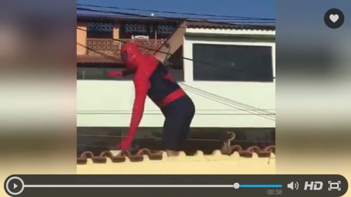 イスラエルに現れた“ひょうきん”スパイダーマン、うっかり屋根を破壊？