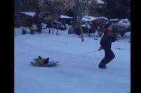 雪が嬉しすぎる少年、鶏をソリに乗せて走り回る光景とは？