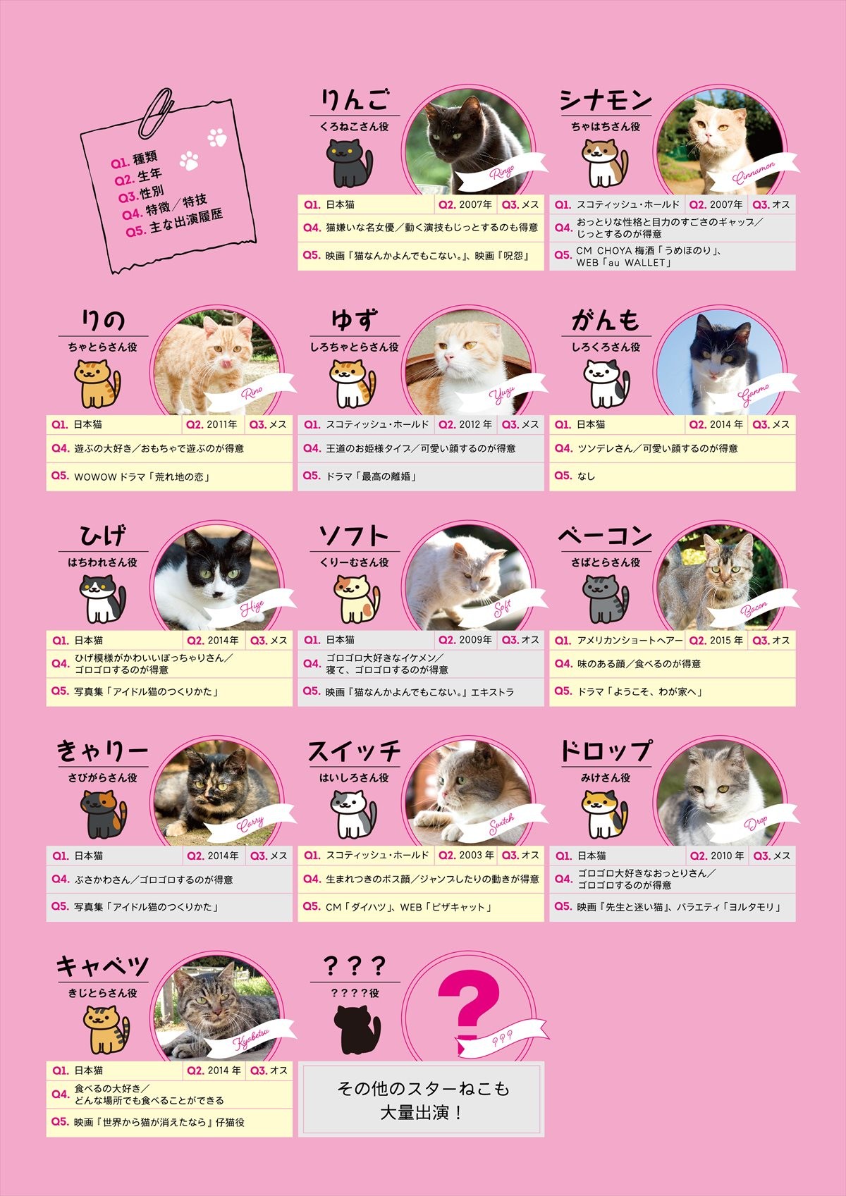 “ねこ界”の名バイプレイヤー集結！『ねこあつめの家』超売れっ子ねこ12匹写真解禁