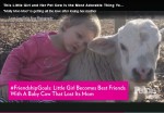 母親を亡くした赤ちゃん牛と人間の赤ちゃんが友達になる映像に反響「本当に愛らしい」