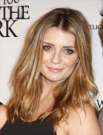 ミーシャ・バートン、引っ越し用トラックを建物の壁に激突