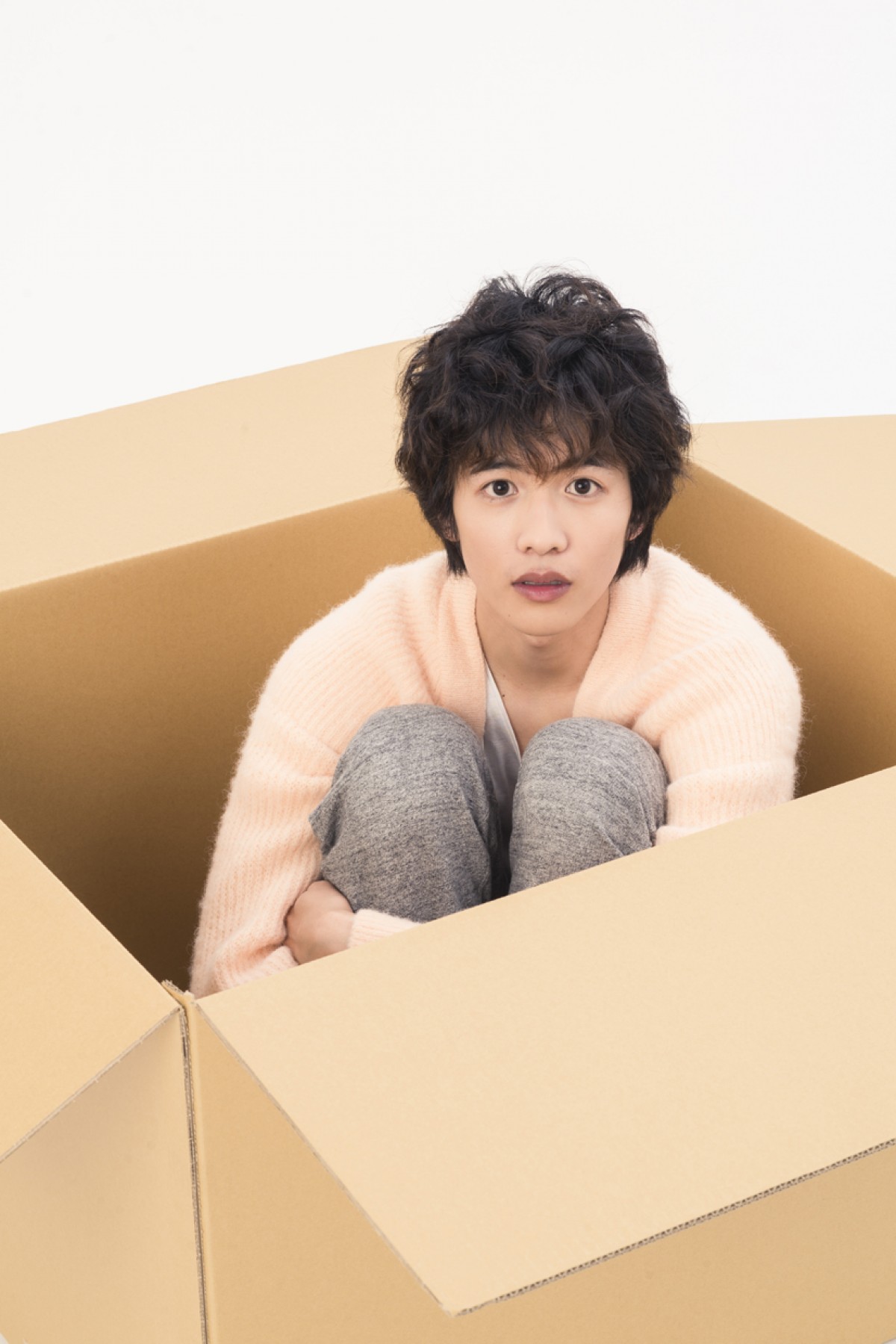 『きみはペット』志尊淳、段ボール男子に！原作の再現率の高さに「可愛いすぎる」の声