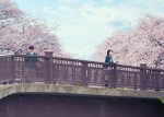 映画『君の膵臓をたべたい』メインカット