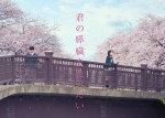 映画『君の膵臓をたべたい』メインカット