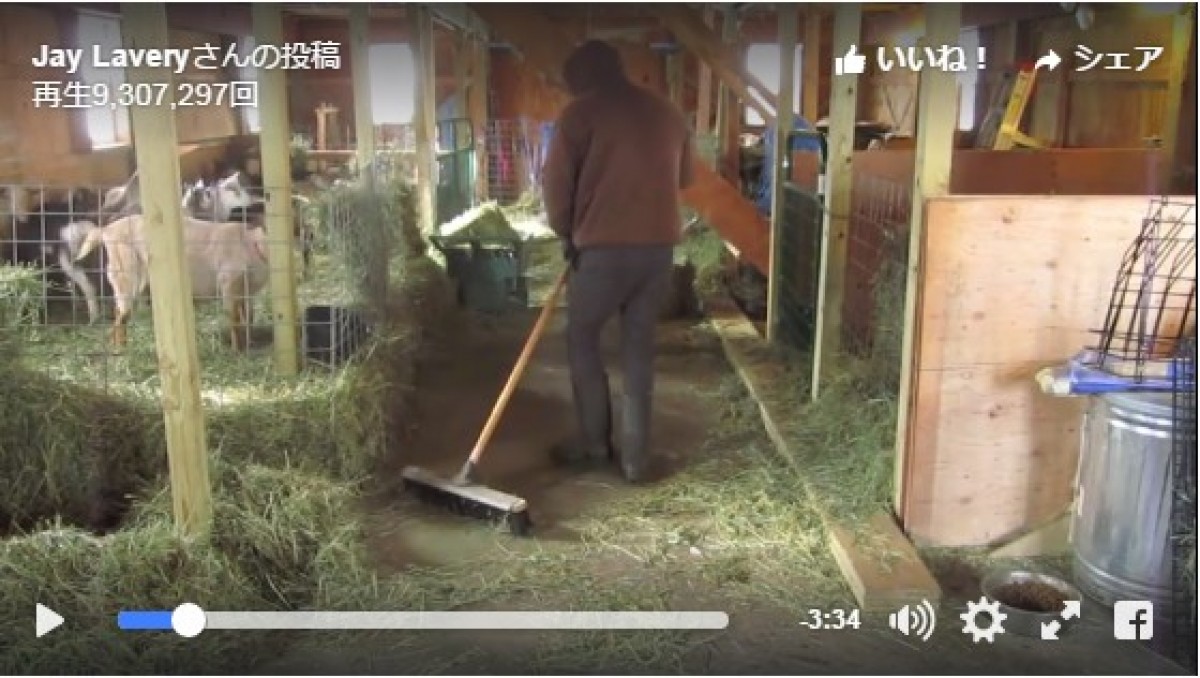 農父がシーアの曲で踊る！家畜の横でダンスが止まらない