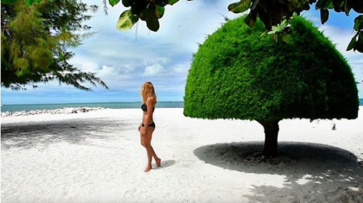 27歳で最年少ギネス記録を達成！世界196ヵ国すべての国を旅した女性とは…