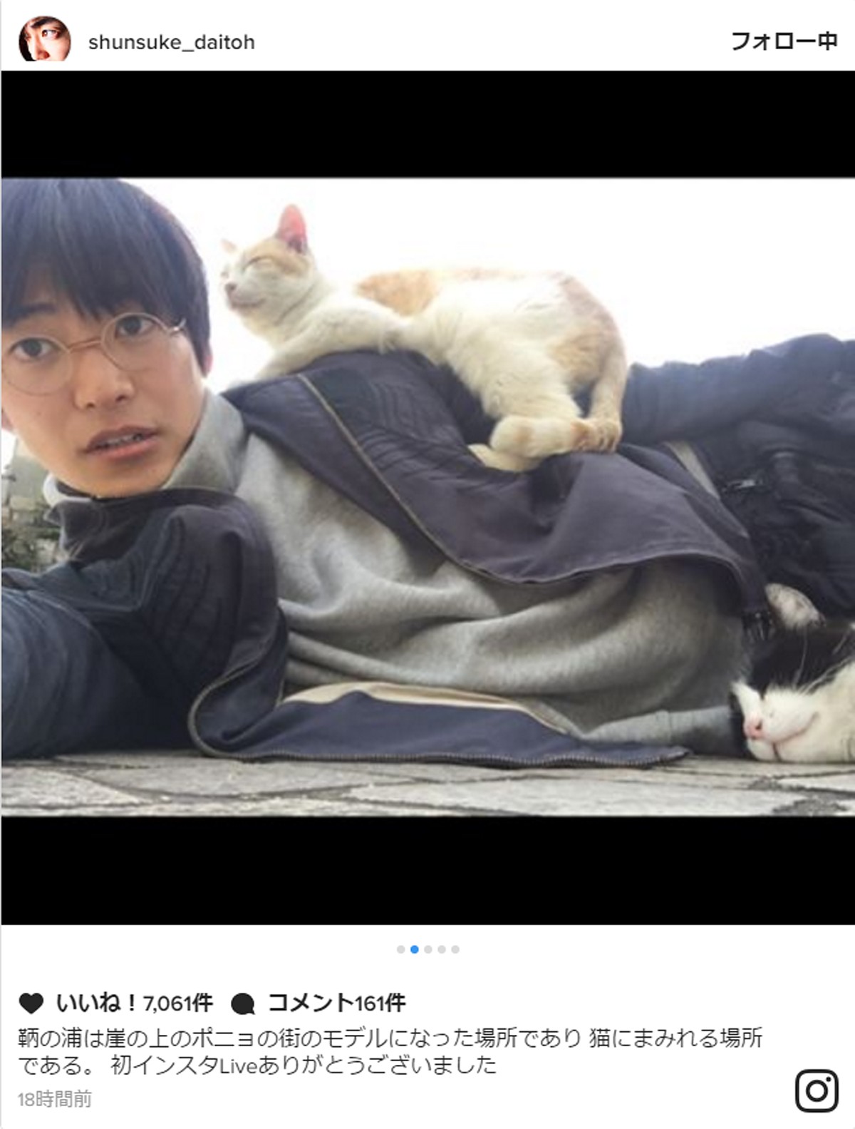大東駿介、猫との“モフモフ”ショット披露 ※「大東駿介」インスタグラム
