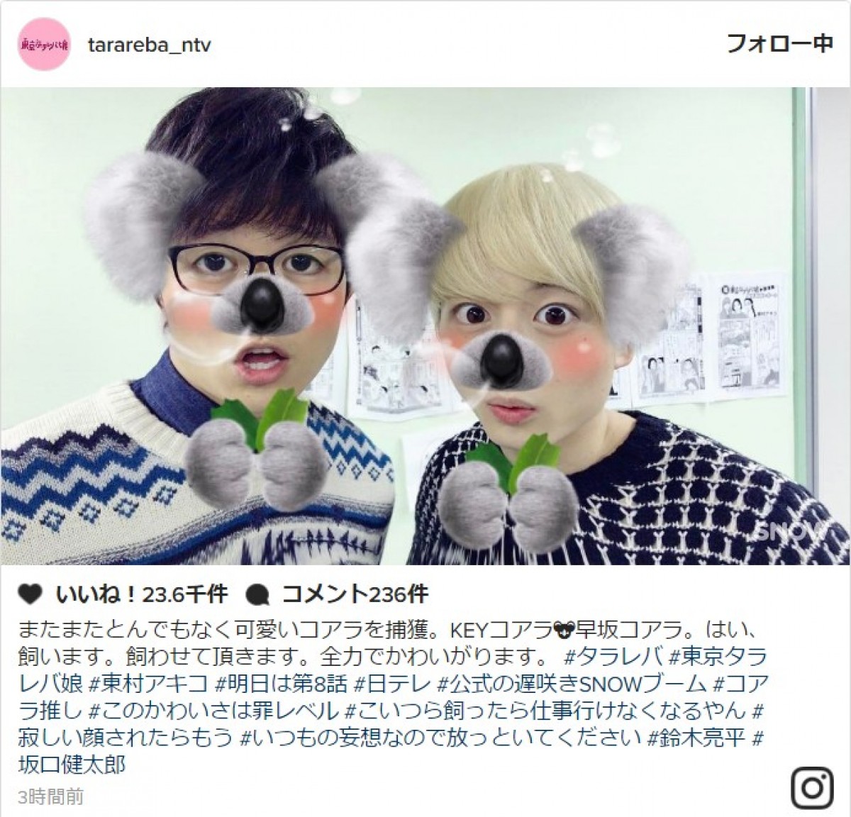 鈴木亮平&坂口健太郎、“とんでもなく可愛い”コアラに変身 ※『東京タラレバ娘』インスタグラム