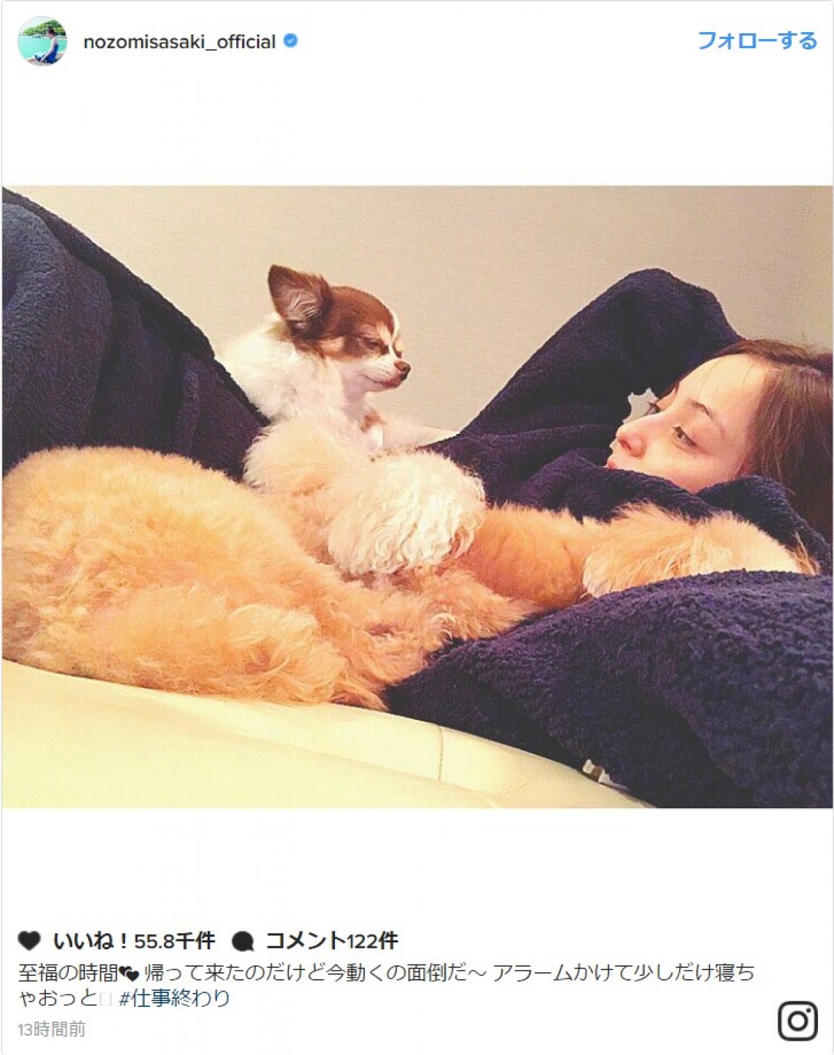 佐々木希、愛犬との至福の“癒し”時間を公開「なんちゅー可愛さだ」 ※「佐々木希」インスタグラム