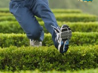 ヤケになった男性、スパイダーマンを目指しジャンプするも足首骨折！（※イメージ写真）