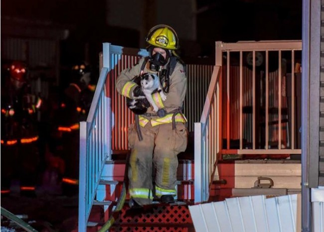 にゃんこが深夜の火事から家族を救出!「ニャゲて~」と飼い主を噛んで起こす