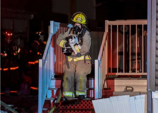 にゃんこが深夜の火事から家族を救出！「ニャゲて～」と飼い主を噛んで起こす