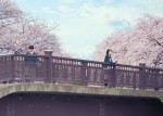 映画『君の膵臓をたべたい』メイン画像