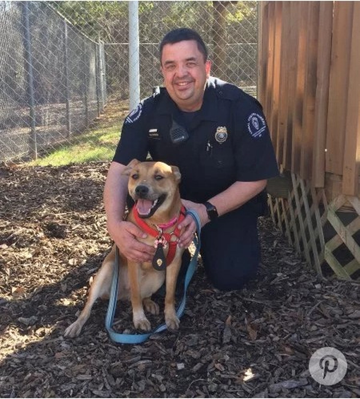 ハリケーンで迷子犬がSOS！救助スタッフを追いかけ続け“家”と“仕事”を見つける