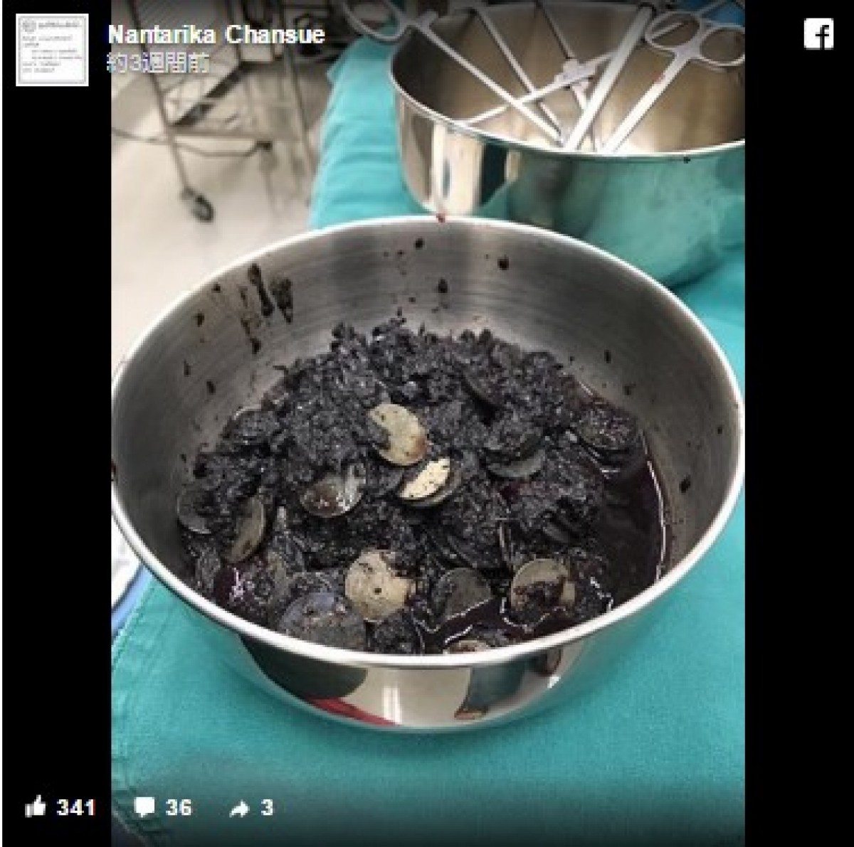 タイでカメのお腹からコイン915枚を発見!カメのあだ名は”貯金箱”