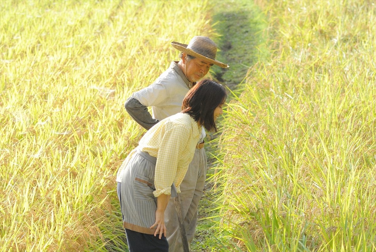 朝ドラ『ひよっこ』、まもなくスタート！茨城県北西部に暮らす高校3年生のみね子は…