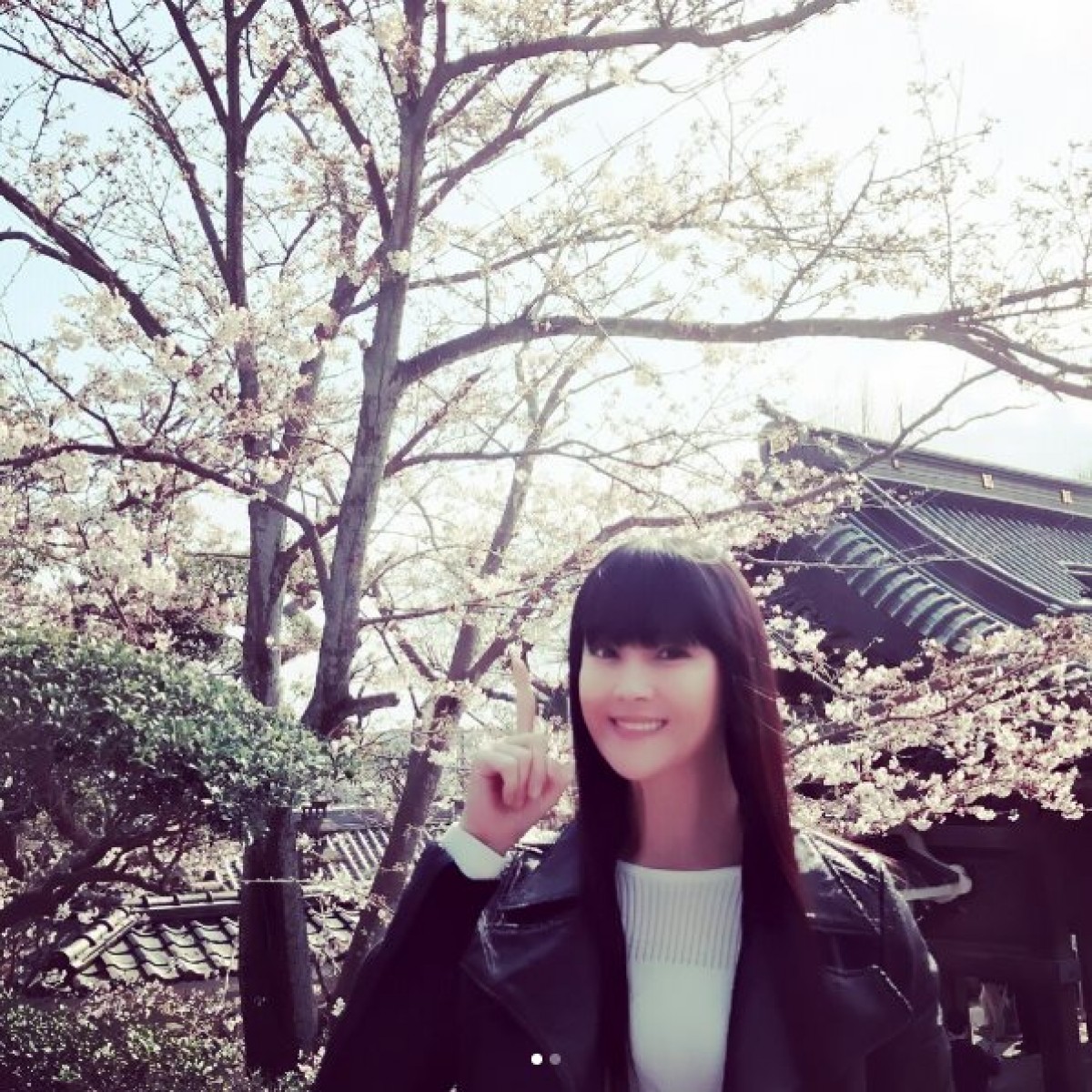 観月ありさ、イノシシ頭蓋骨を見つめる姿に「なんて素敵な横顔」と反響