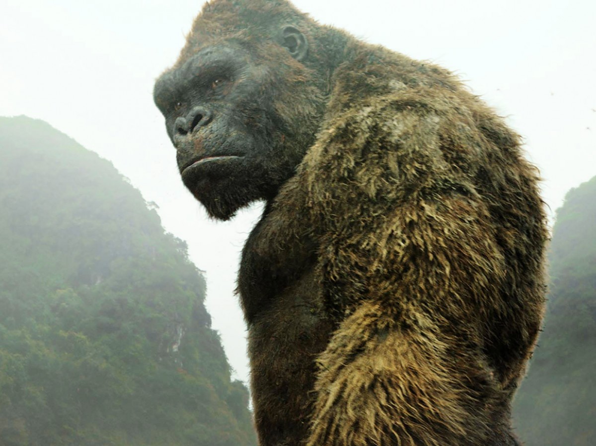 『キングコング』テレビドラマ企画が浮上(※『キングコング:髑髏島の巨神』場面写真)