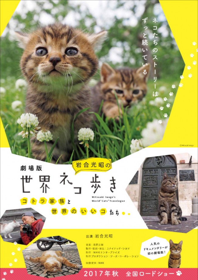 動物写真家・岩合光昭の『世界ネコ歩き』劇場版公開決定!
