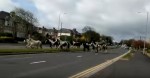 ドライバー呆然！ラッシュアワーの道路を馬たちが駆けぬける