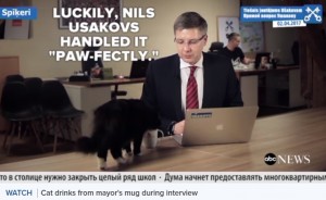 市長の取材中に猫乱入！ くつろぐ猫に市長は…