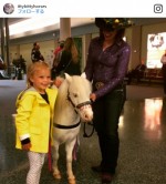 アメリカの空港にセラピー“馬”が登場！ 搭乗前の乗客を癒す