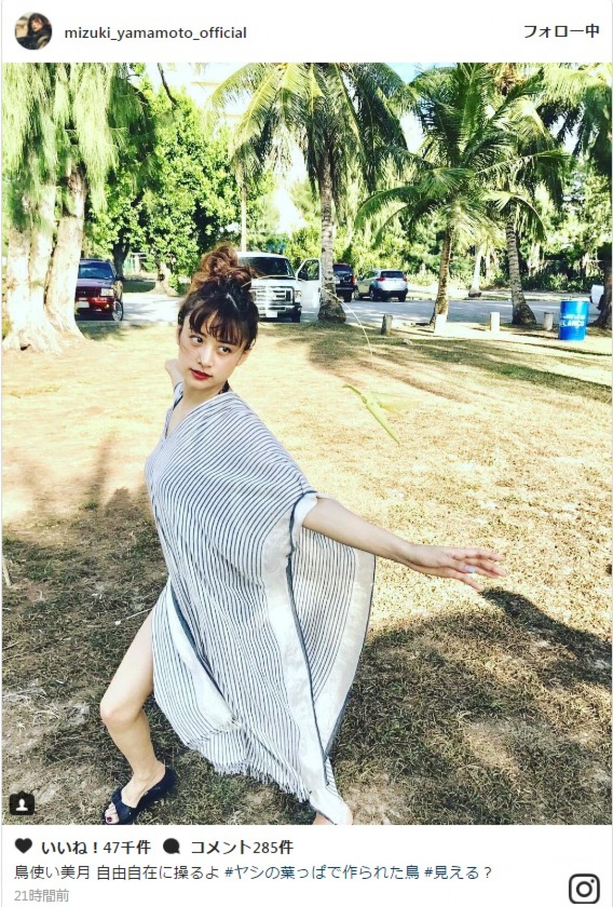 山本美月、南国で“鳥使い”に? ※「山本美月」インスタグラム