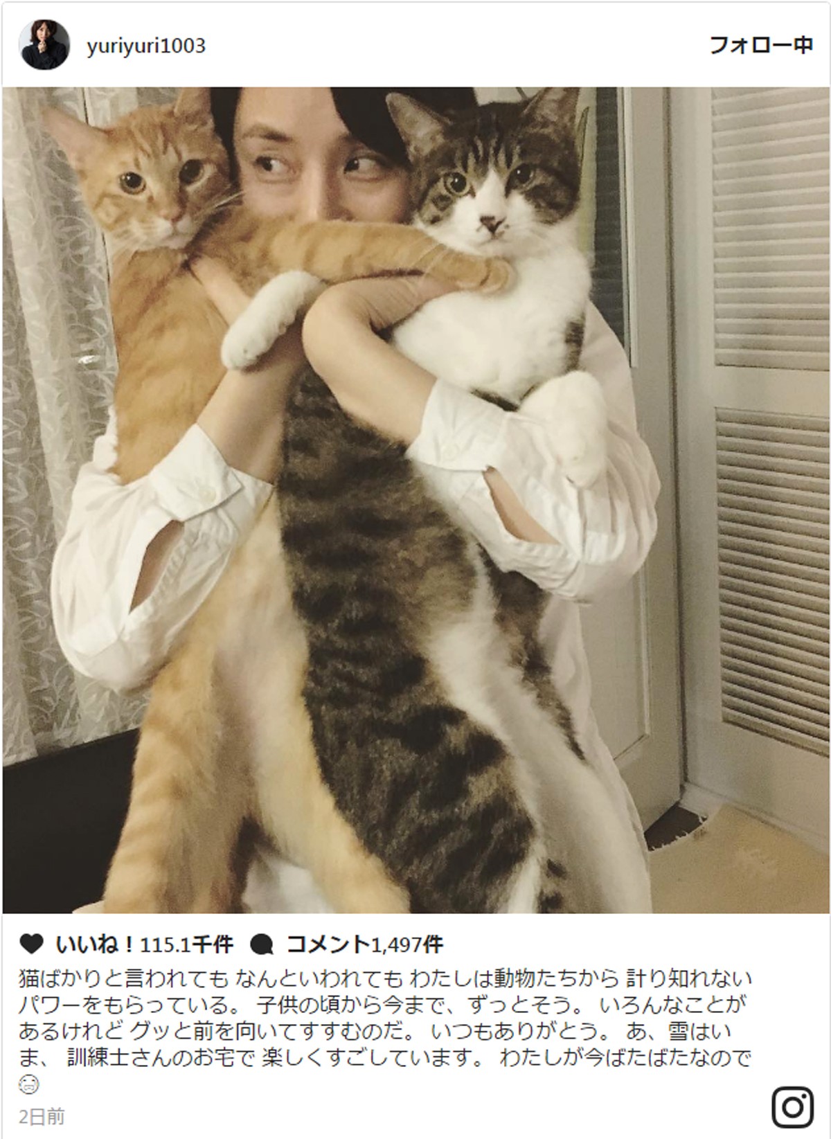 石田ゆり子、猫との“モフモフ”なオフショット ※「石田ゆり子」インスタグラム