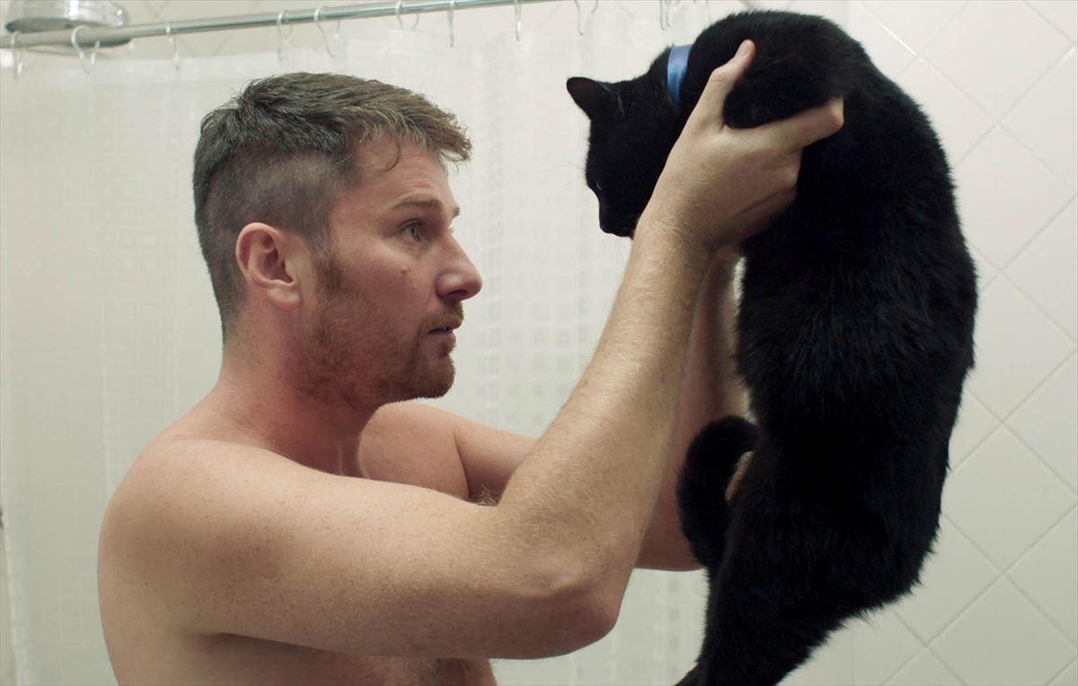 動物病院が猫を抱っこするプロを募集中 ※画像はイメージです。