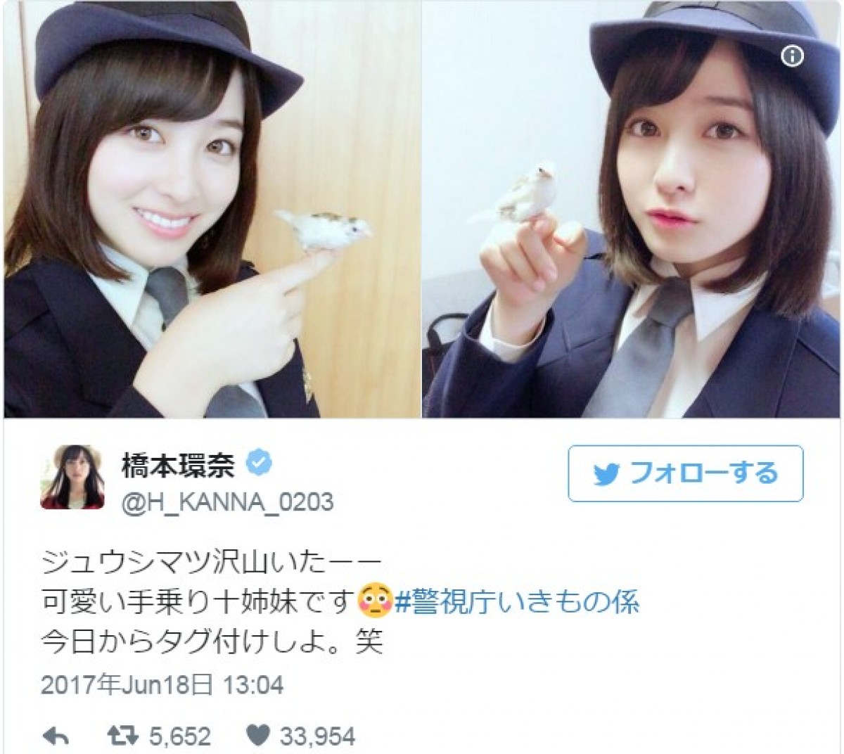 橋本環奈、小鳥のとのオフショット披露 ※「橋本環奈」ツイッター