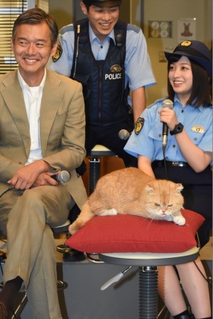 左から渡部篤郎、横山だいすけ、橋本環奈、『警視庁いきもの係 』記者会見に登場