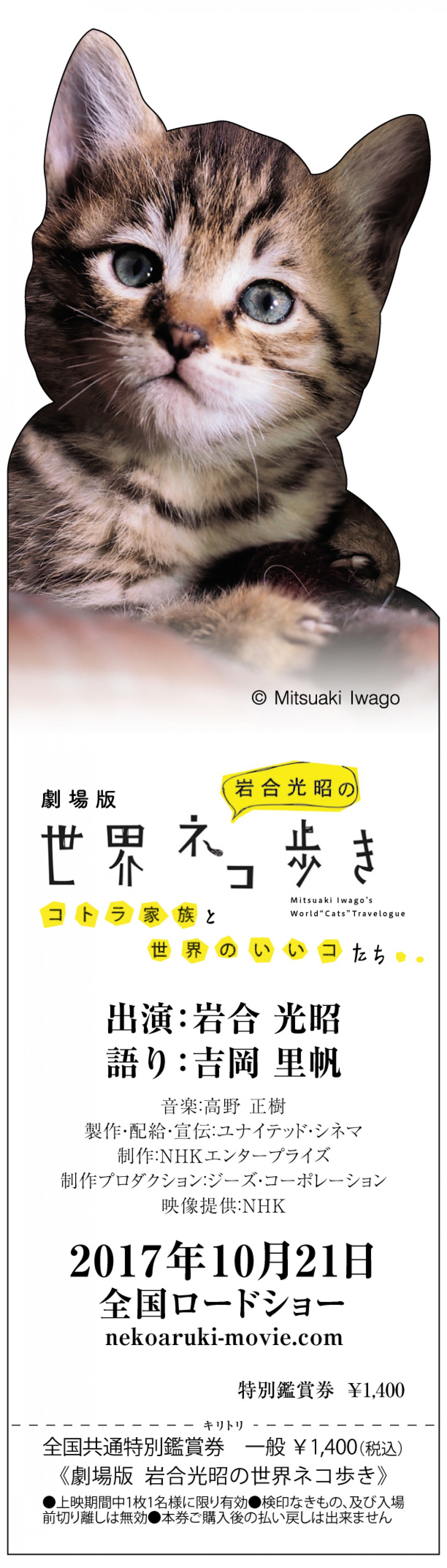 吉岡里帆、『岩合光昭の世界ネコ歩き』ナレーション決定！「フニャッとニヤける」