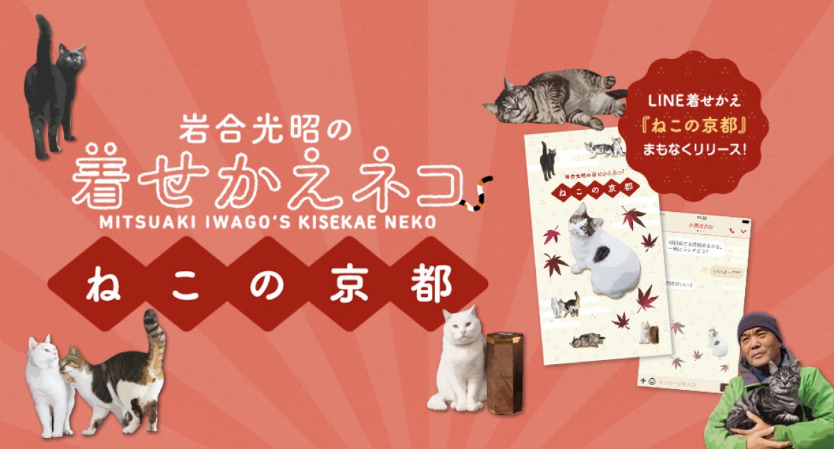 岩合光昭『ねこの写真展』、この夏も全国開催！