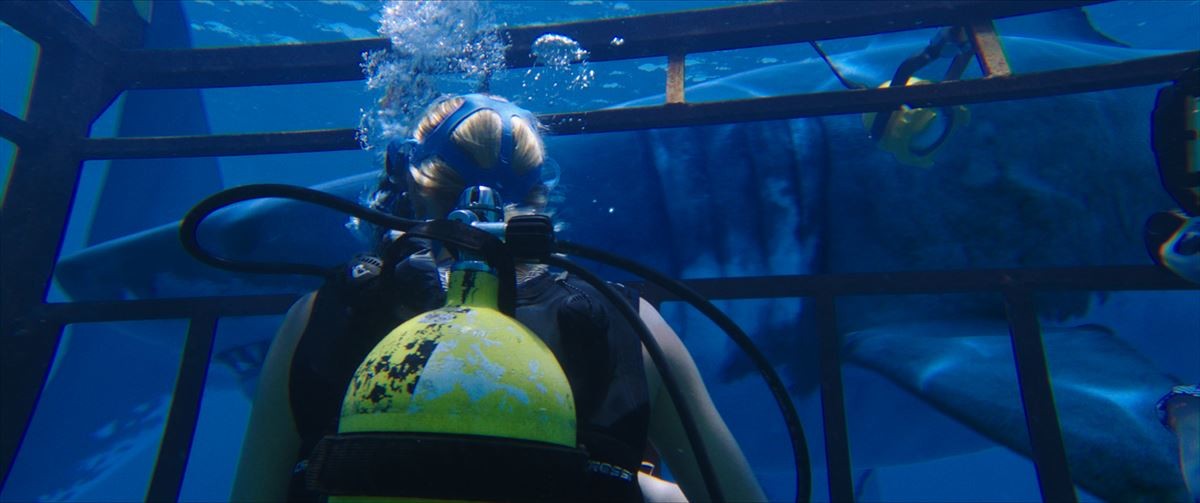 海レジャーが怖くなる!?『海底47m』“海の底”へ落ちていく本編映像公開