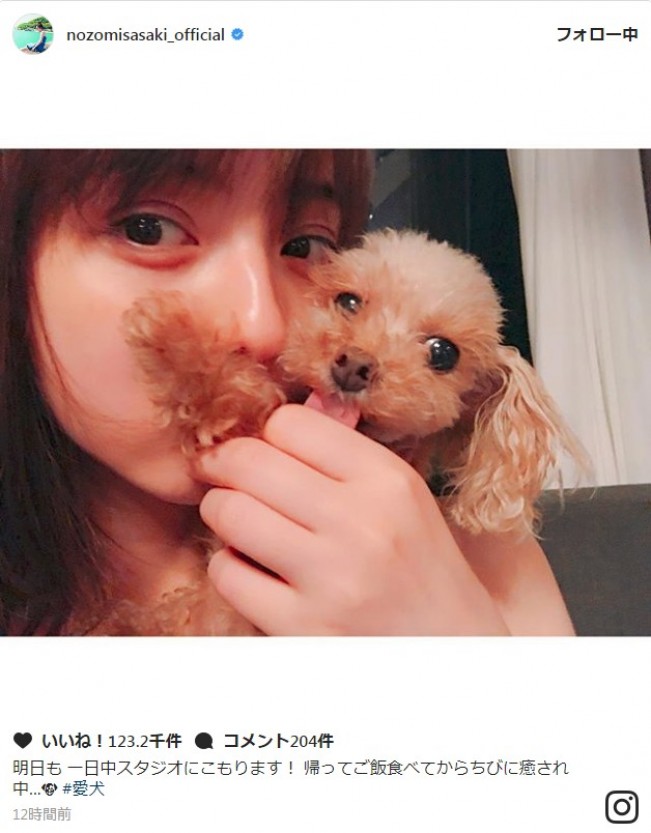 佐々木希、愛犬とのキュートな写真を披露　※「佐々木希」インスタグラム