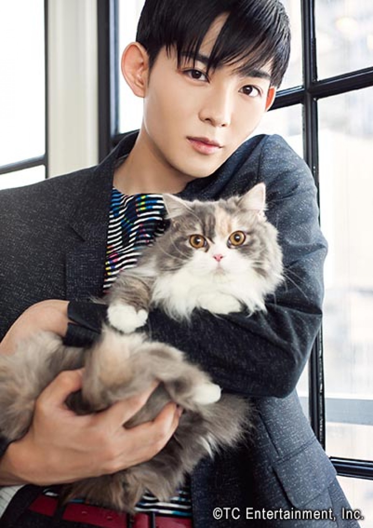 竜星涼withミヌエット、写真展『ねこカレ』