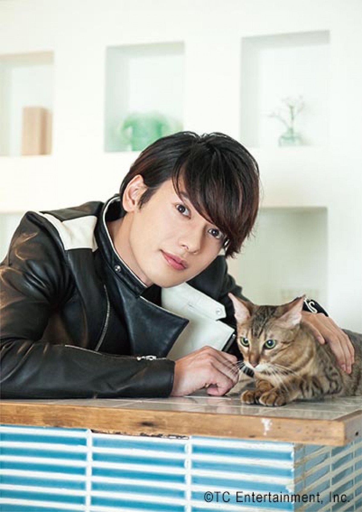 竜星涼らイケメン×かわいいネコの最強コンビ　写真展『ねこカレ』開催