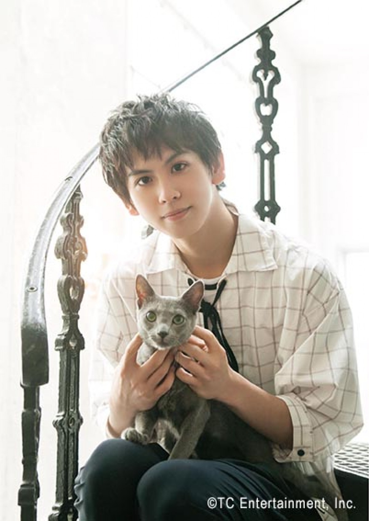 竜星涼らイケメン×かわいいネコの最強コンビ　写真展『ねこカレ』開催