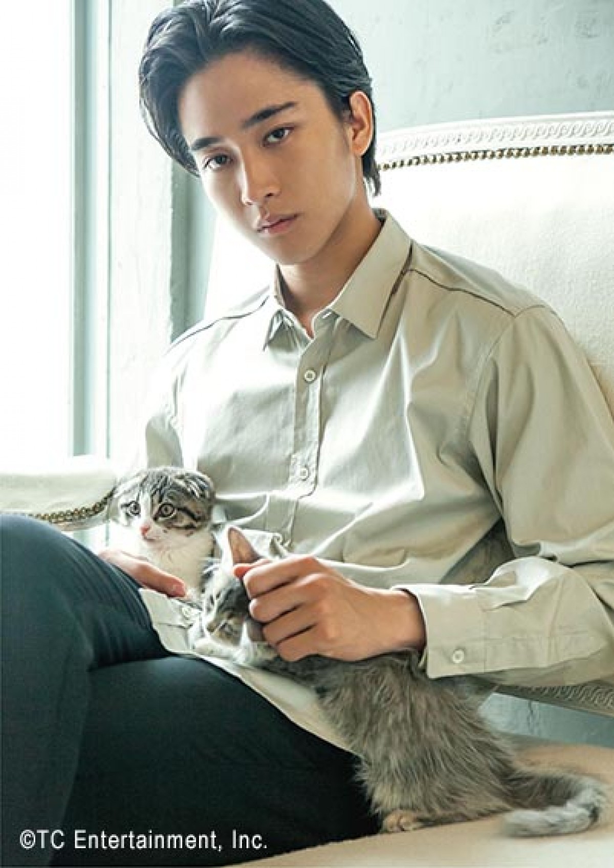 竜星涼らイケメン×かわいいネコの最強コンビ　写真展『ねこカレ』開催