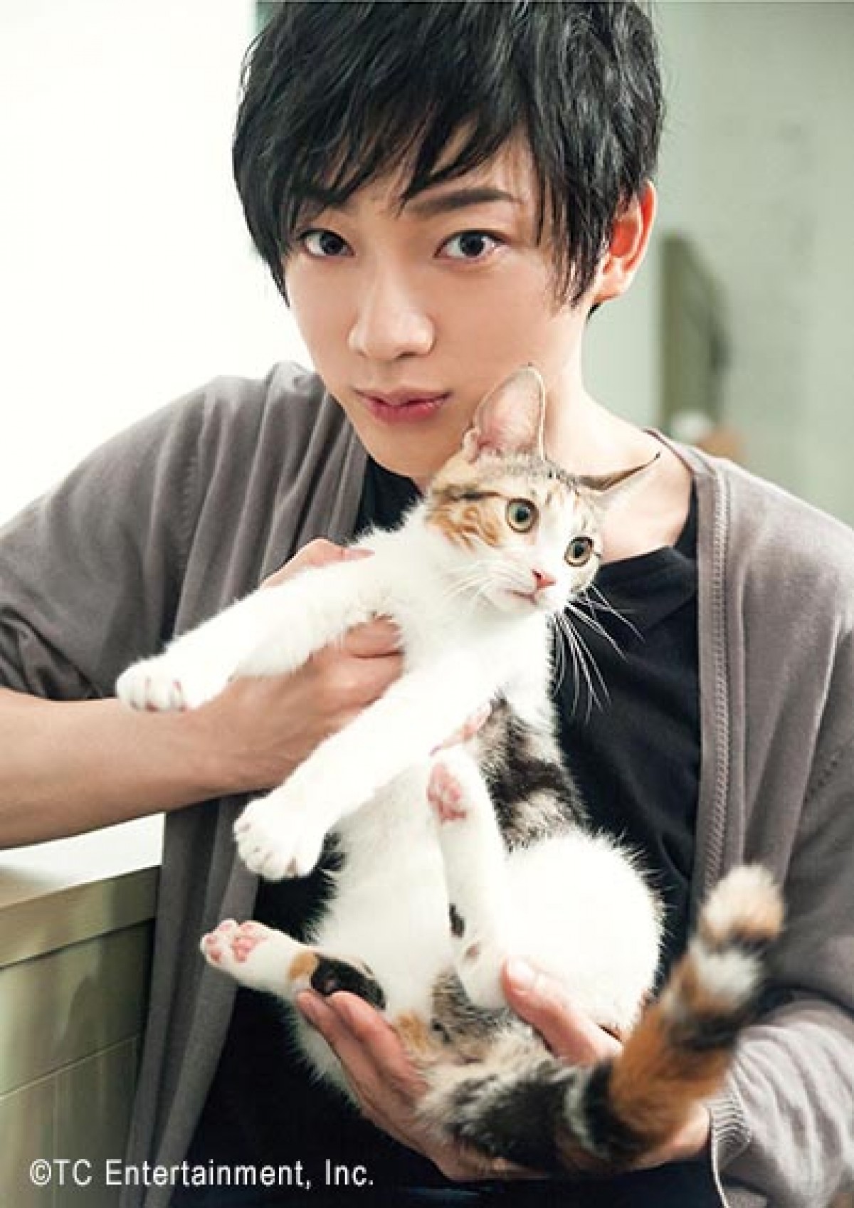 竜星涼らイケメン×かわいいネコの最強コンビ　写真展『ねこカレ』開催