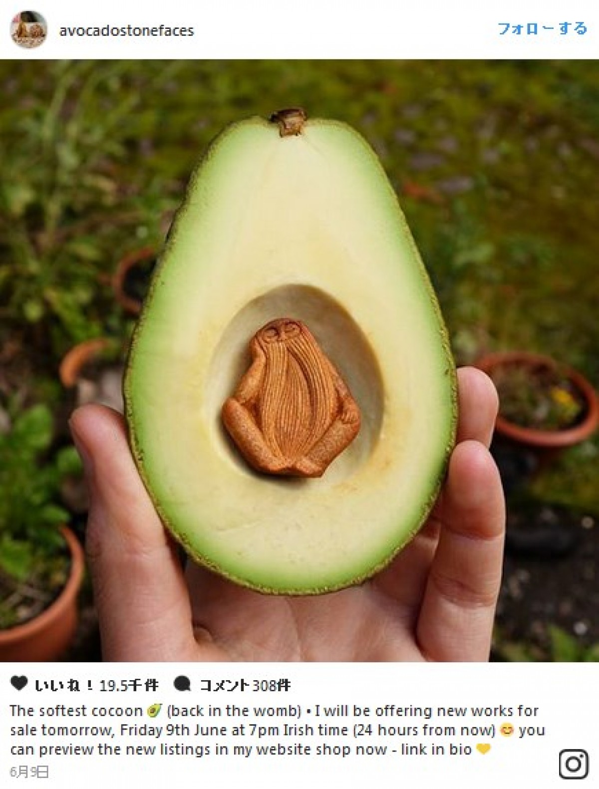 驚愕！アボカドの種の彫刻　※インスタグラム「avocadostonefaces」のスクリーンショット