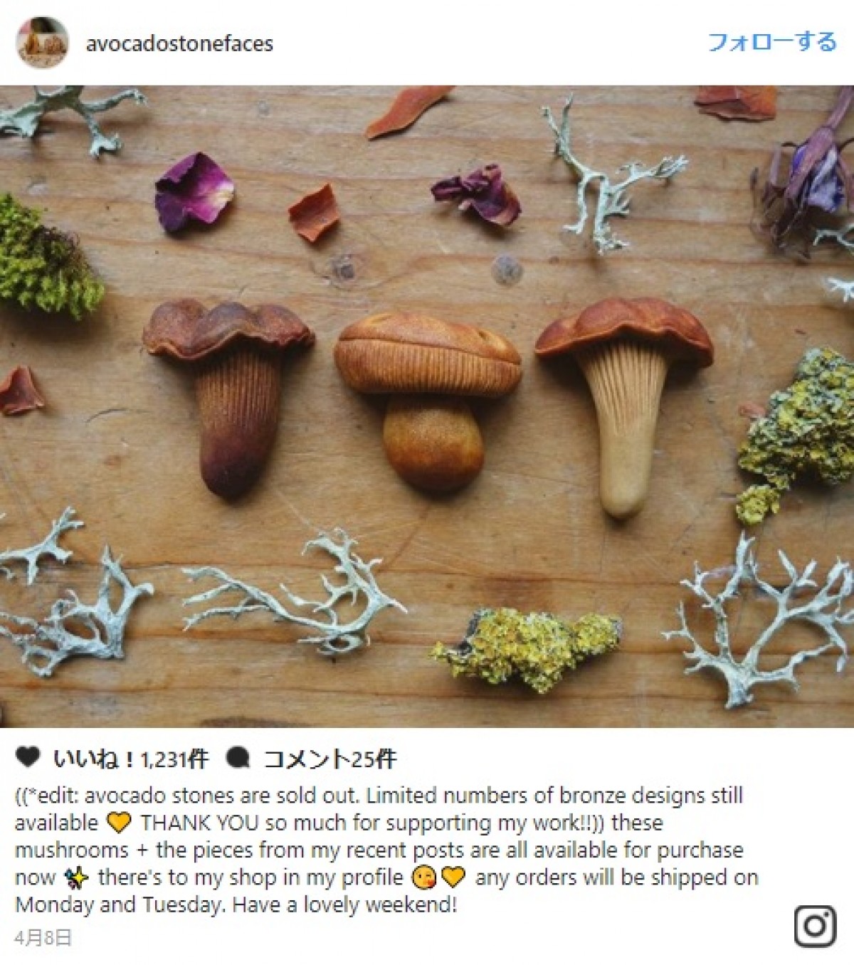 驚愕！アボカドの種の彫刻　広がる神話の世界