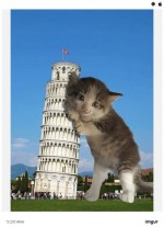 ネット上で話題になっている「タイヤに寄りかかる子猫」の加工写真　※海外メディア「Huffington Post」のスクリーンショット