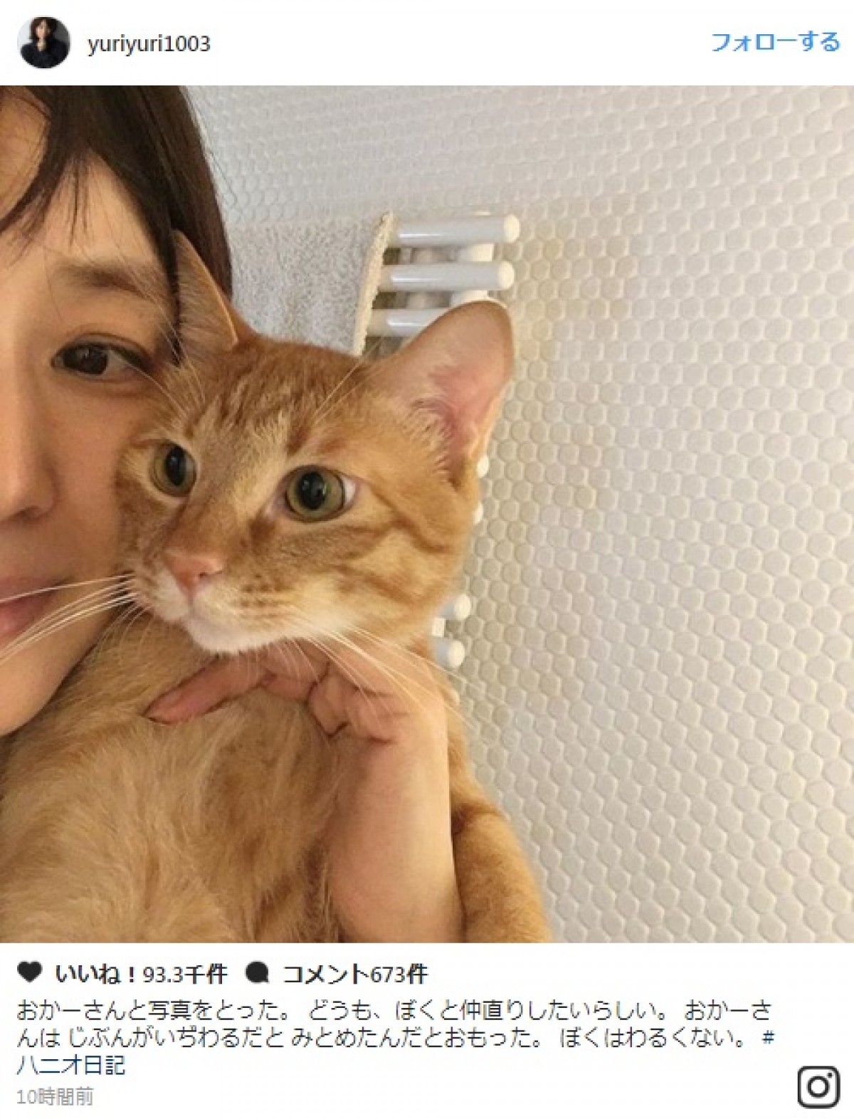 石田ゆり子、愛猫とケンカし仲直り？ 2ショットに「どちらも可愛い」と反響　※「石田ゆり子」インスタグラム