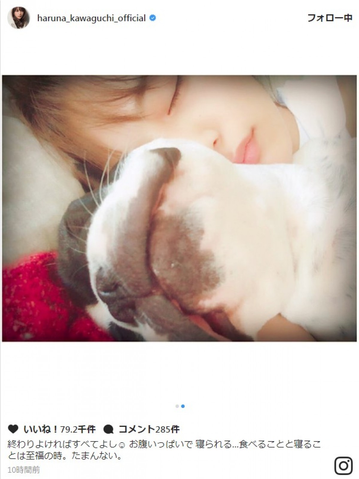 川口春奈、愛犬と見せる寝顔が話題「天使過ぎるよ」　※「川口春奈」インスタグラム