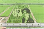 池井戸潤原作の新ドラマ『陸王』田んぼアート（2017年8月3日の様子）