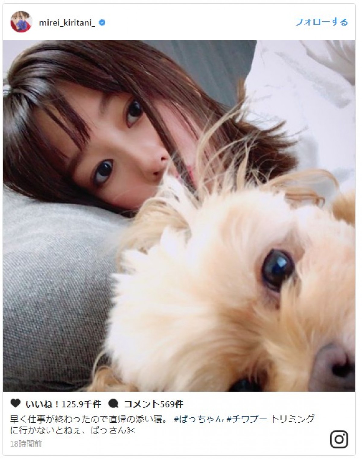 桐谷美玲、愛犬との添い寝ショットに衝撃「お顔ソックリ！」