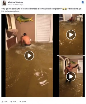 家の中で魚をつかみ取り！ ハリケーン後の動画が話題に