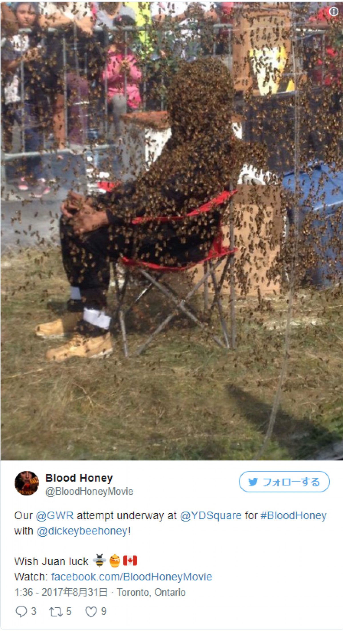 蜂のヒゲを61分間維持したカナダ人男性 ※映画「Blood Honey」公式ツイッターより