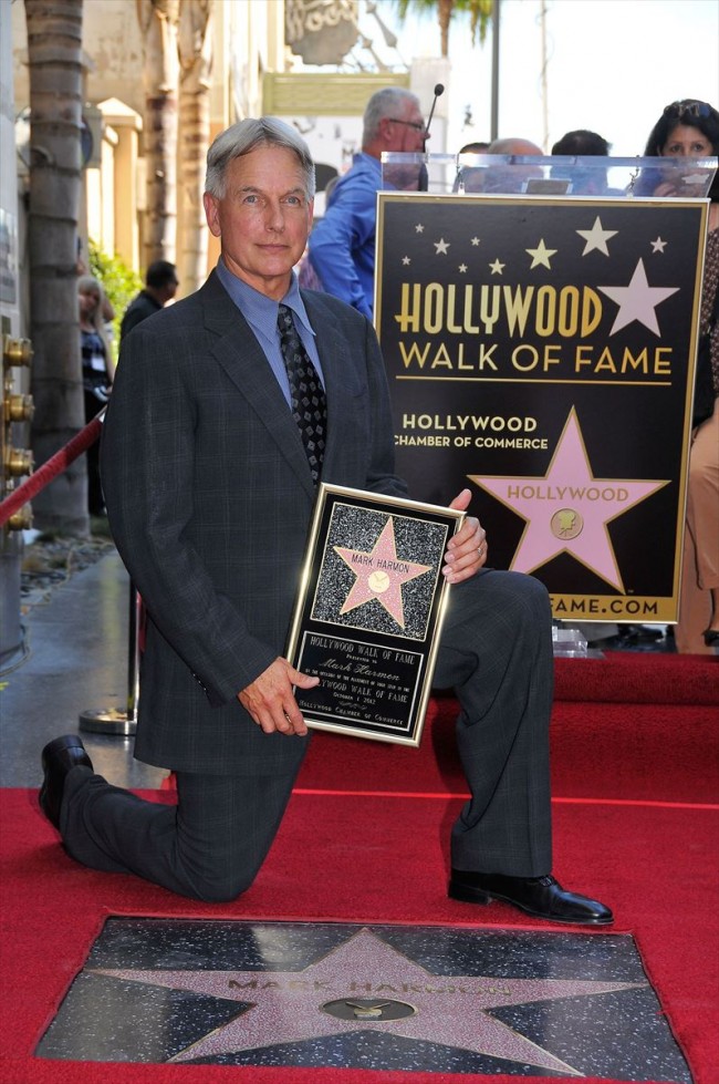 Mark Harmon　マーク・ハーモン